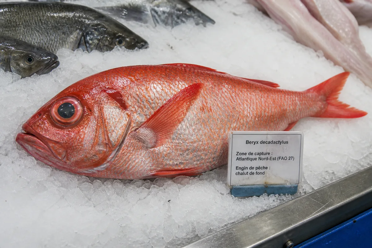 Étiquette d&rsquo;étal détaillant nom scientifique, zone de capture et engin de pêche