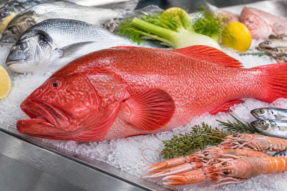 Le mérou rouge : comment le cuisiner